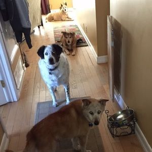 Meet your Posher, Connie